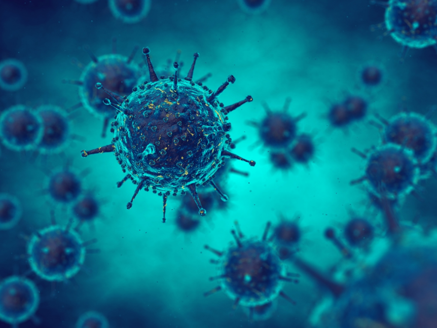 Viral Pathogenesis